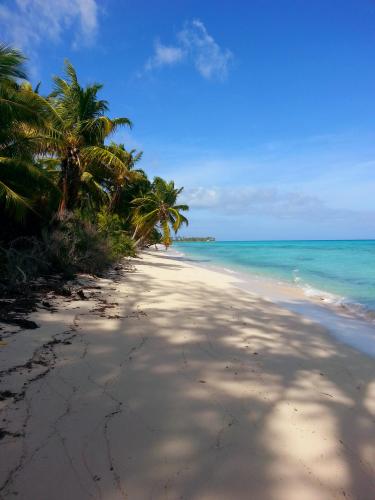 Andros Island, Bahamas