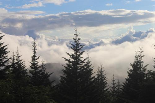 Clingmans Dome, Great Smoky Mountains NP