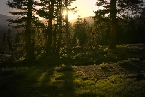 Somewhere in the Stanislaus National Forest in California