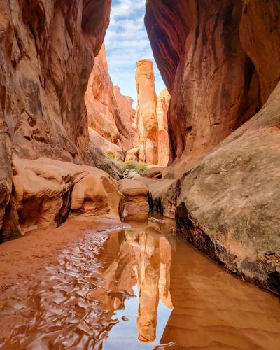 Desert Reflection, Arches NP, Utah