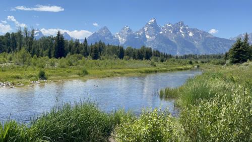 The Grand Tetons, Jackson, WY