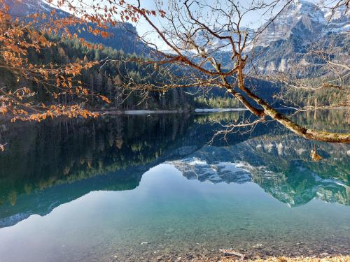 Tovel's lake, italy