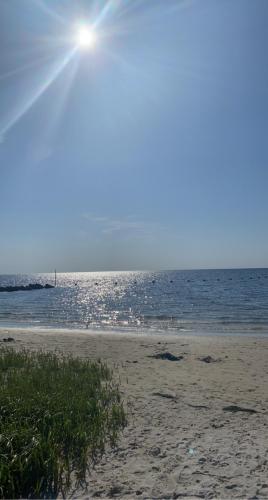 Fort Island, Crystal River FL