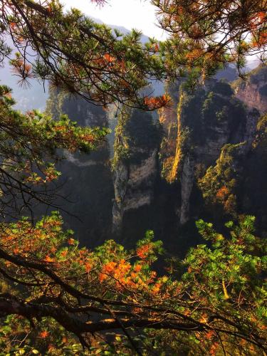 Zhangjiajie, China