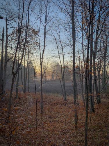 Misty fall morning on the Big Salmon trail in Frontenac Provincial Park, Ontario Canada