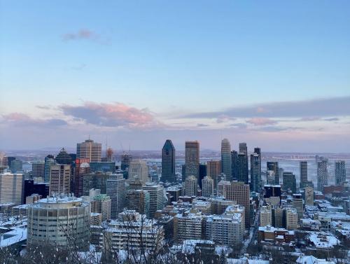 Montreal City View