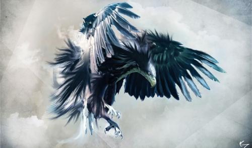 Eagle