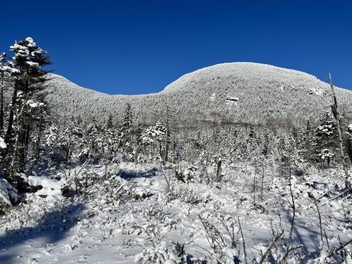 Looking up at Cannon Mountain from Lonesome Lake in the White Mountain National Forest, NH