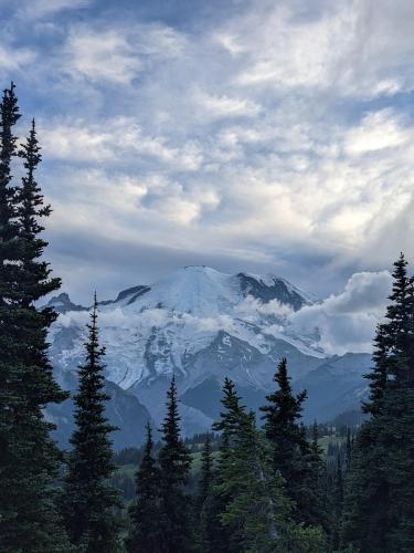 Mt. Rainier National Park, WA