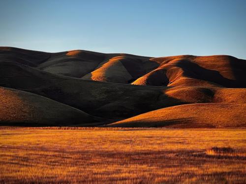 Golden hills near Livermore California