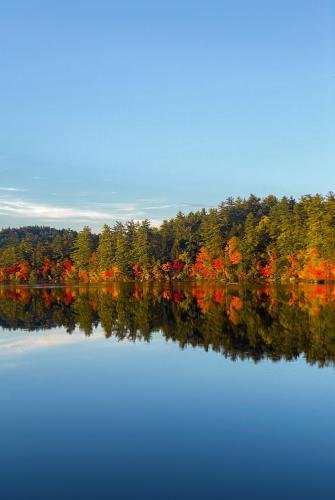 Autumn in Maine