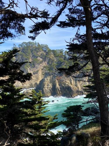 Point Lobos State Park, Carmel, CA