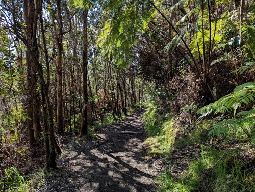 Kīlauea Iki Trail, Island of Hawai'i