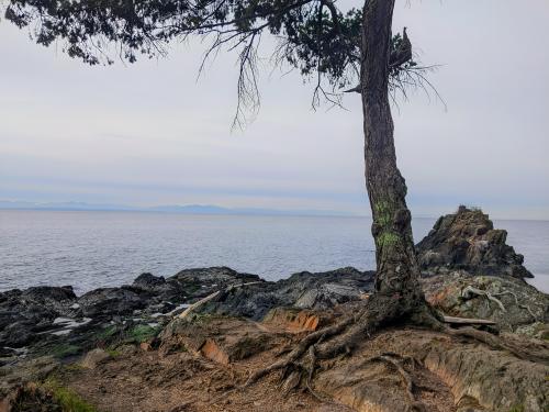 Bowen Island BC Canada {OC}