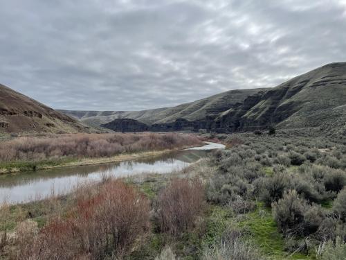 Spring in Cottonwood Canyon SP, Oregon.