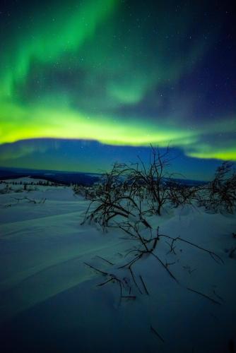 northern lights in Alaska. wewerethetide on instagram