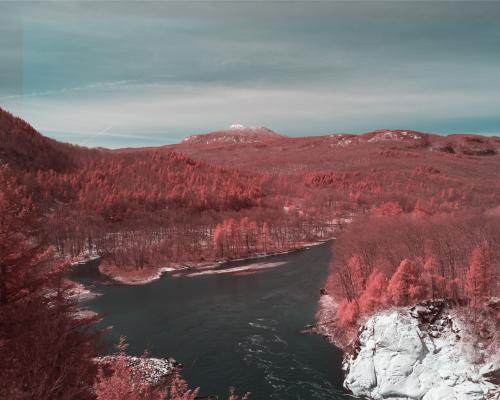 False Color Infrared photo of Camel's Hump, Vermont