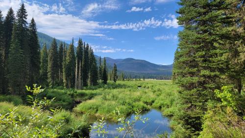 Hughes Meadow, Priest Lake Wilderness Area, Idaho