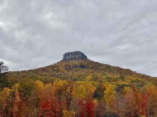 Fall colors popping in Pilot Mountain State Park, North Carolina