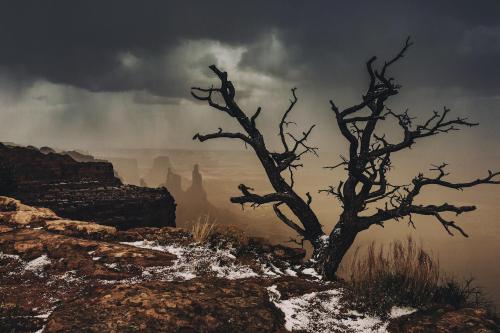 Canyonlands Park, Utah, 2016. .