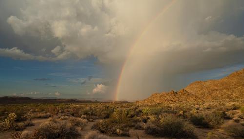 Joshua Tree National Park