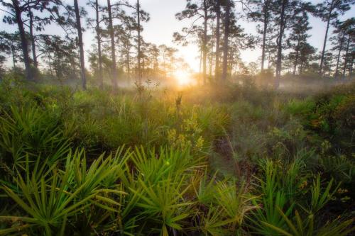 Whispering Pines Orlando, Florida