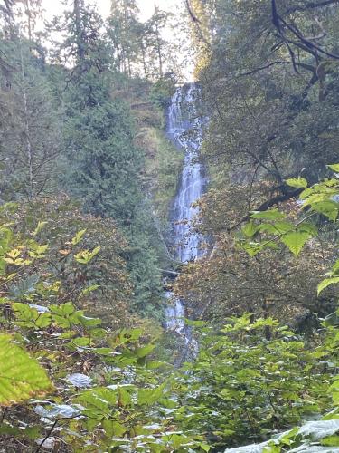 Munson Creek Falls State Natural Site, Tillamook, OR