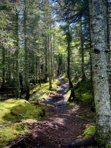 Parc Kiskotuk, Quebec.