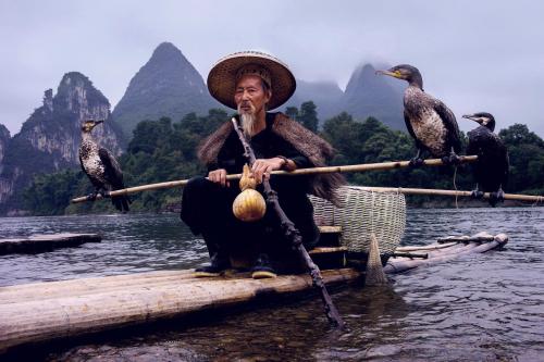 Fisherman with Cormorants