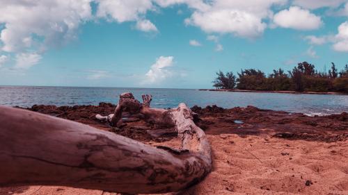 Pau’ena Point Beach Park, Oahu