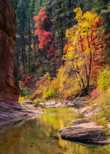 West Fork Oak Creek, Sedona, Arizona, USA