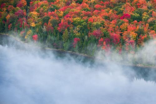 Autumn in New York