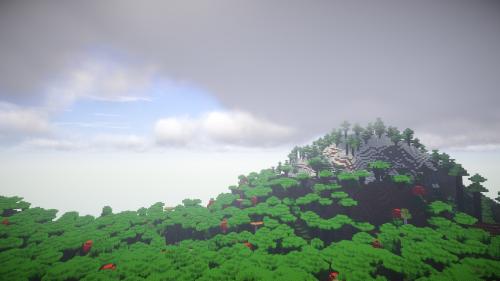 A Minecraft Wallpaper : Dark Oak Forest