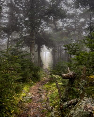 Misty Trails - White Mountains, New Hampshire, USA