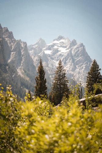 Shot I got from inside Grand Teton’s Cascade Canyon