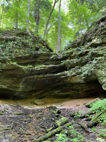 Shades State Park, IN