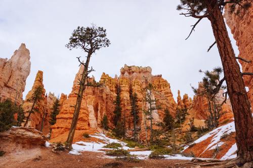The beauty of Bryce Canyon, UT
