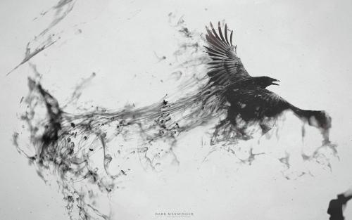 Dark Wings, Dark Words