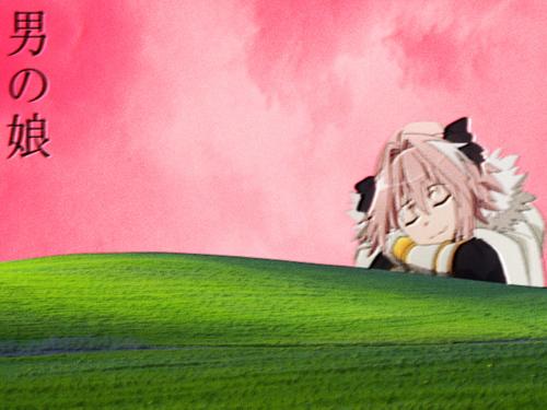 an aesthetic version of Bliss  starring best Fate boi himself, Astolfo