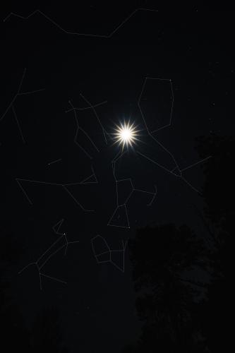 Took a picture of the night sky and drew in the constellations :
