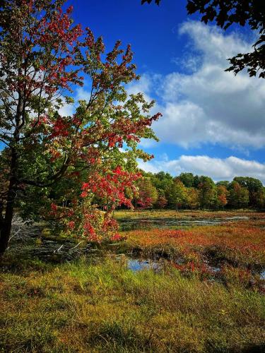 Hemlock Trail, Frontenac Provincial Park, Ontario Canada