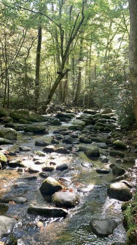 Roaring Fork Motor Drive in Gatlinburg, TN