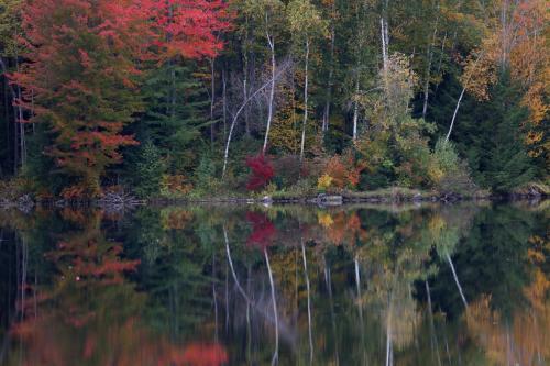 Kent Pond, Killington, Vermont