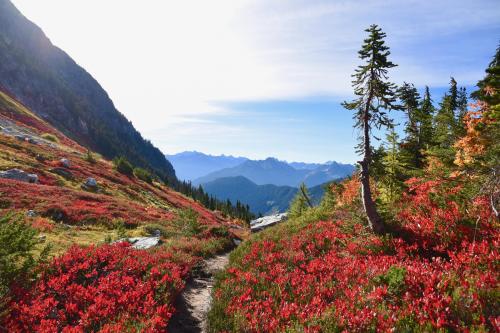 Late September - Washington, USA