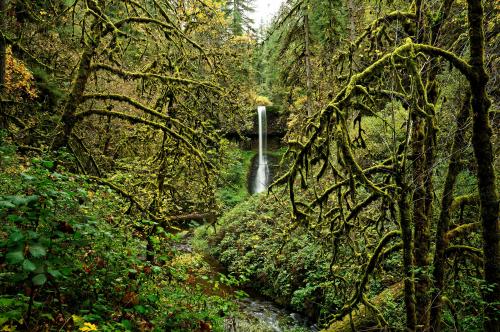 Middle North Falls, Silver Falls Sate Park, Oregon