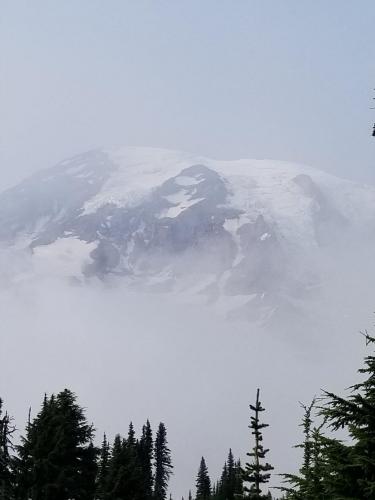 A moody Mt. Rainier in Mt. Rainier National Park {}