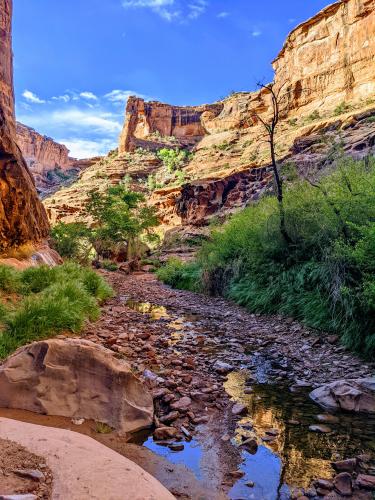 Hunter Canyon, Utah, USA