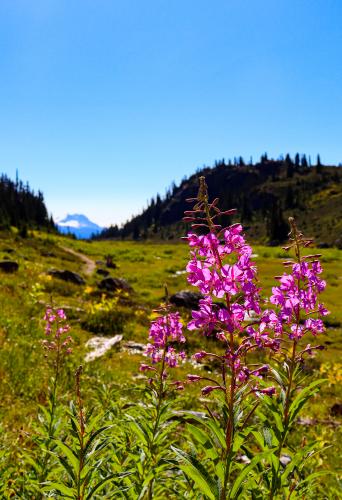 Brandywine Meadows, British Columbia