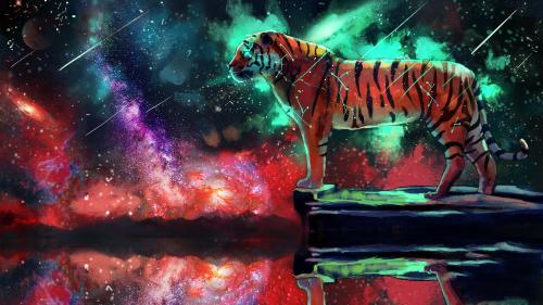 Galaxy Tiger