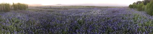 Canyon of the Eagles, near Lake Buchanan, in Burnet, Texas.